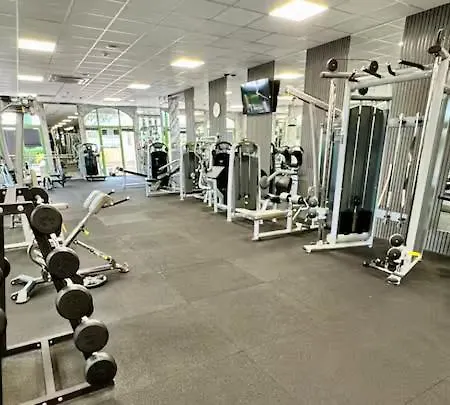 Flores Gardan Art Daire *