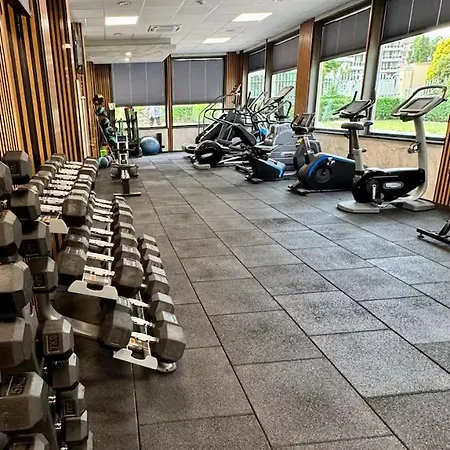 Flores Gardan Art Daire Chernomorets