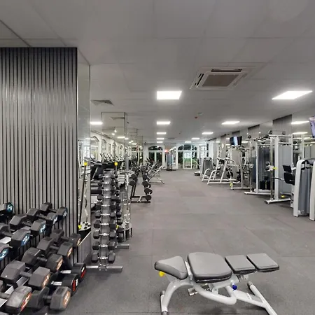 Daire Flores Gardan Art